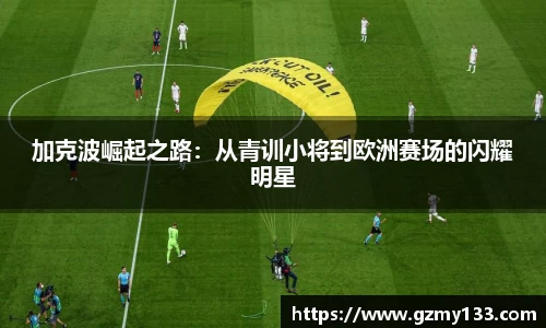 JBO竞博·体育官方网站